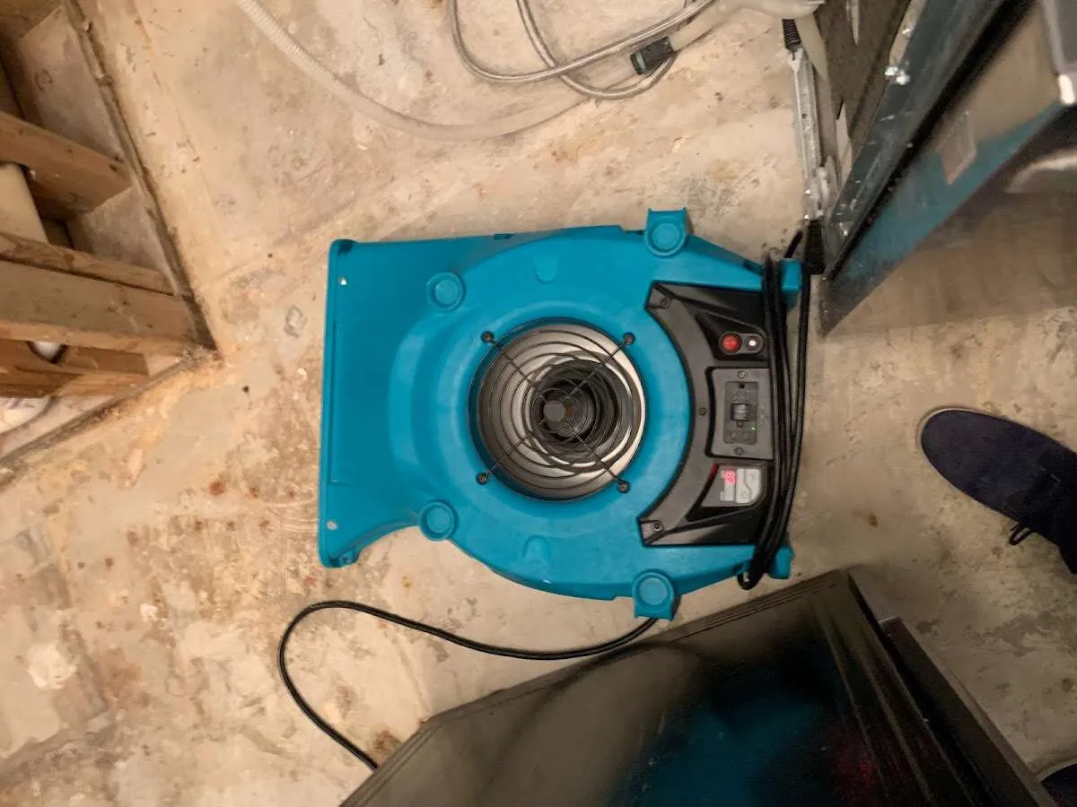 Air mover drying equipment for Mold Remediation & Removal in Munford